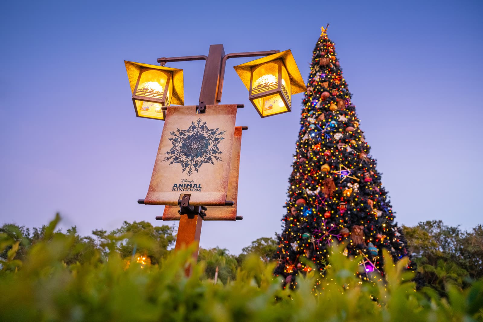 Árbol de Navidad iluminado al atardecer en Disney's Animal Kingdom