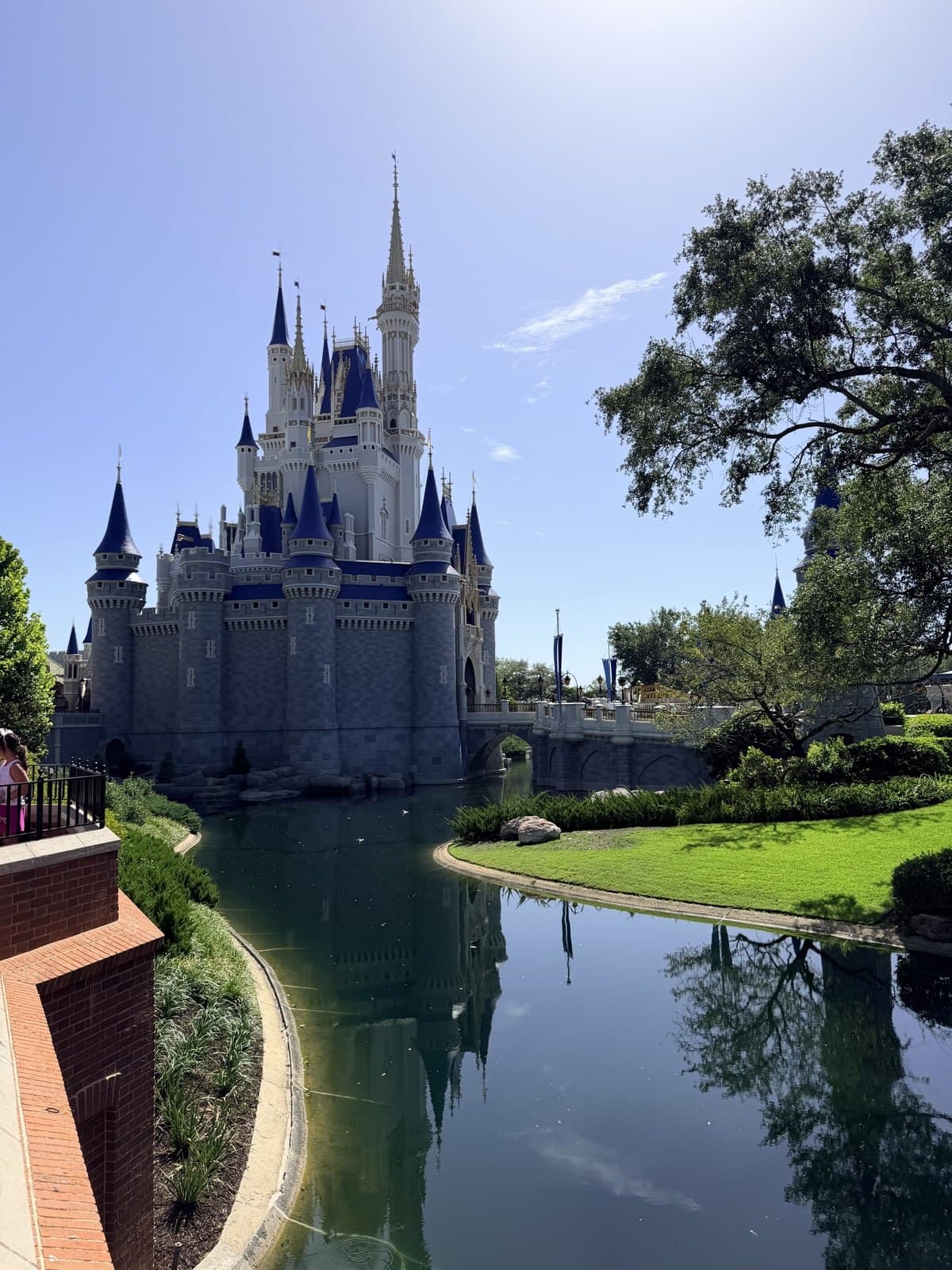 Familia de Buenos Aires viajando a Disney World y Universal Orlando desde Argentina