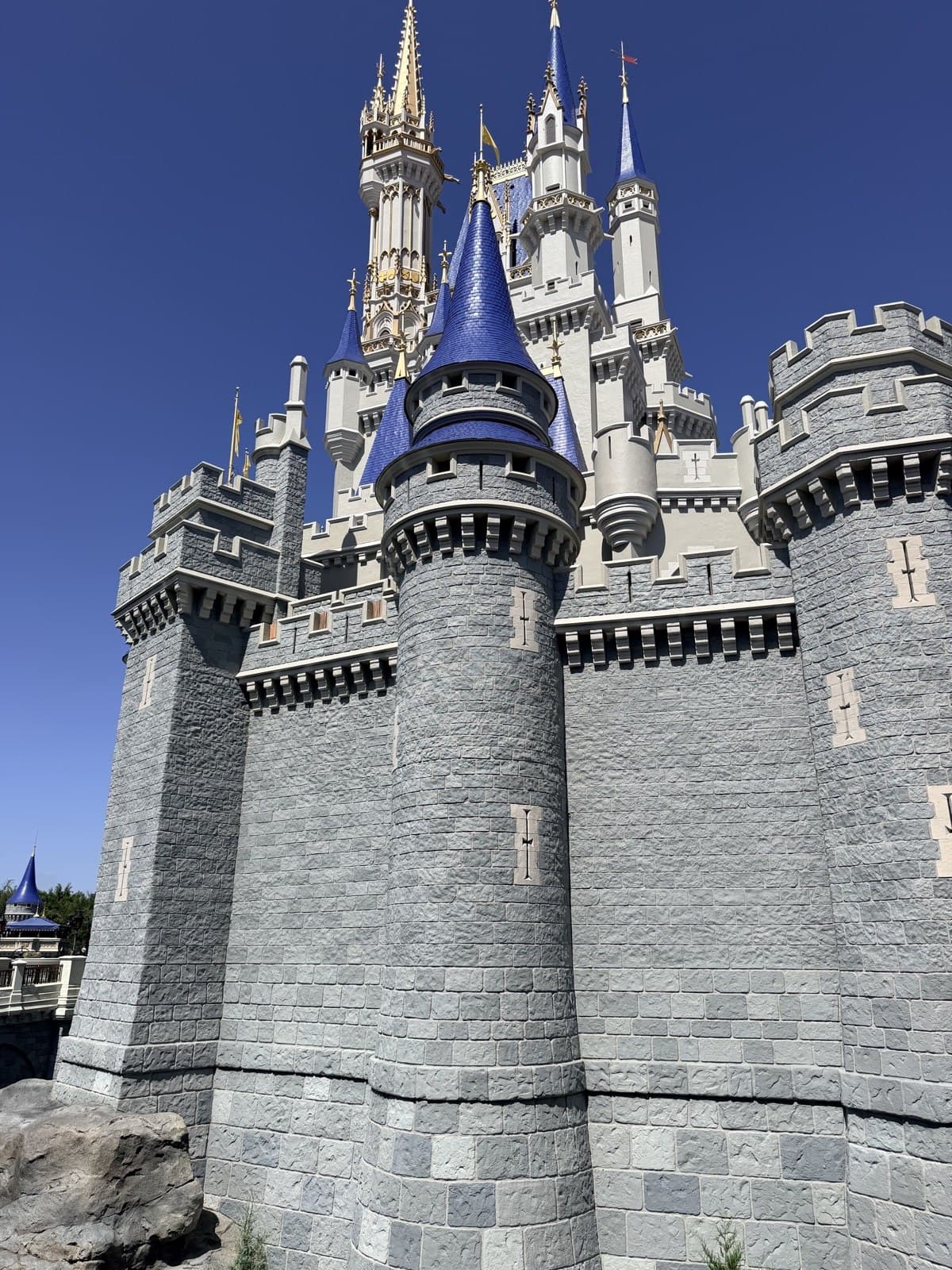 Familia de Río Negro viajando a Disney World y Universal Orlando desde Argentina