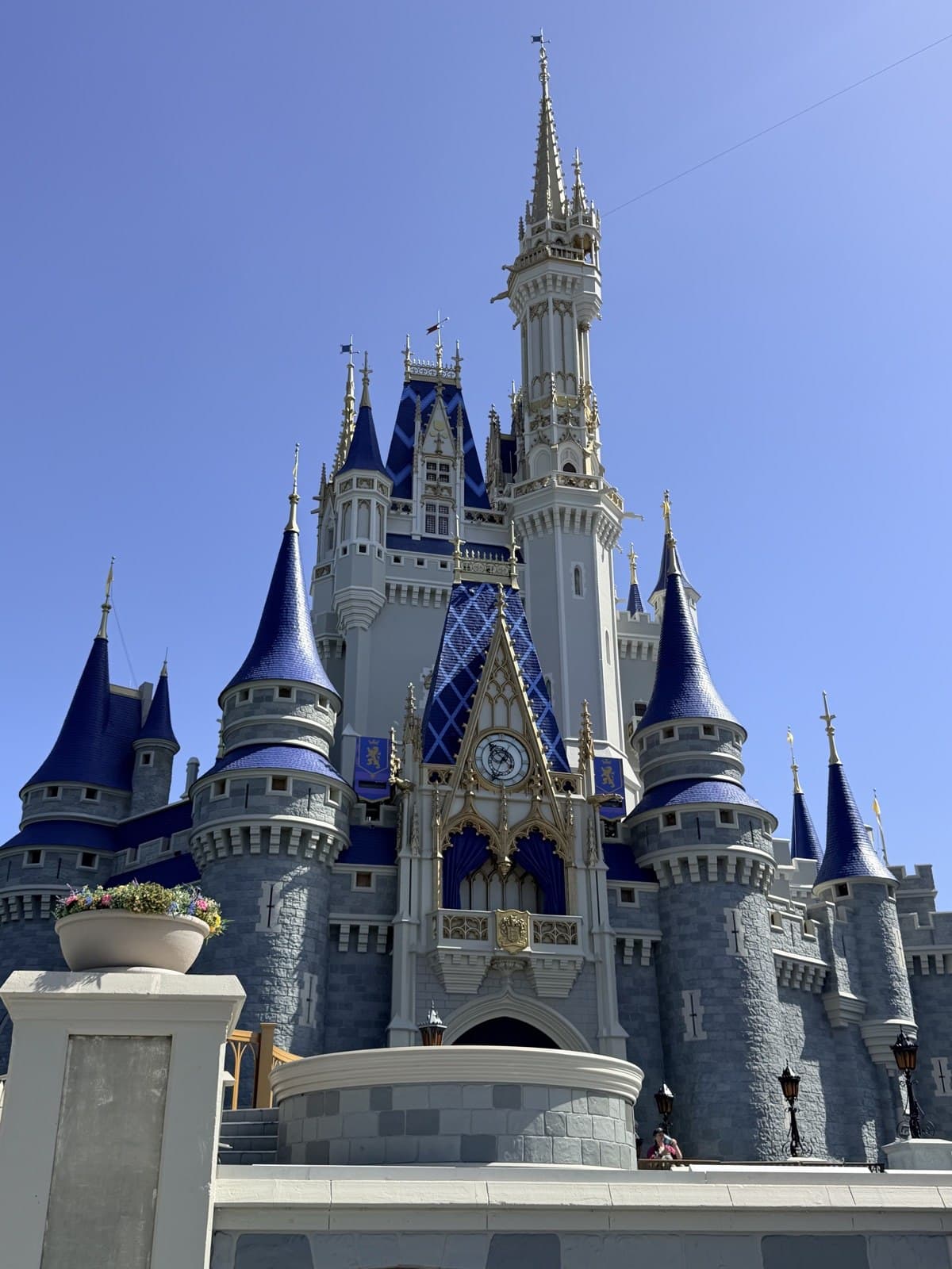 Disney World en Familia: viaje a Walt Disney World desde Argentina