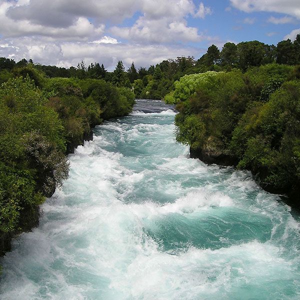 El bosque de Kaitoke, cerca de Wellington, escenario de Rivendell en Nueva Zelanda